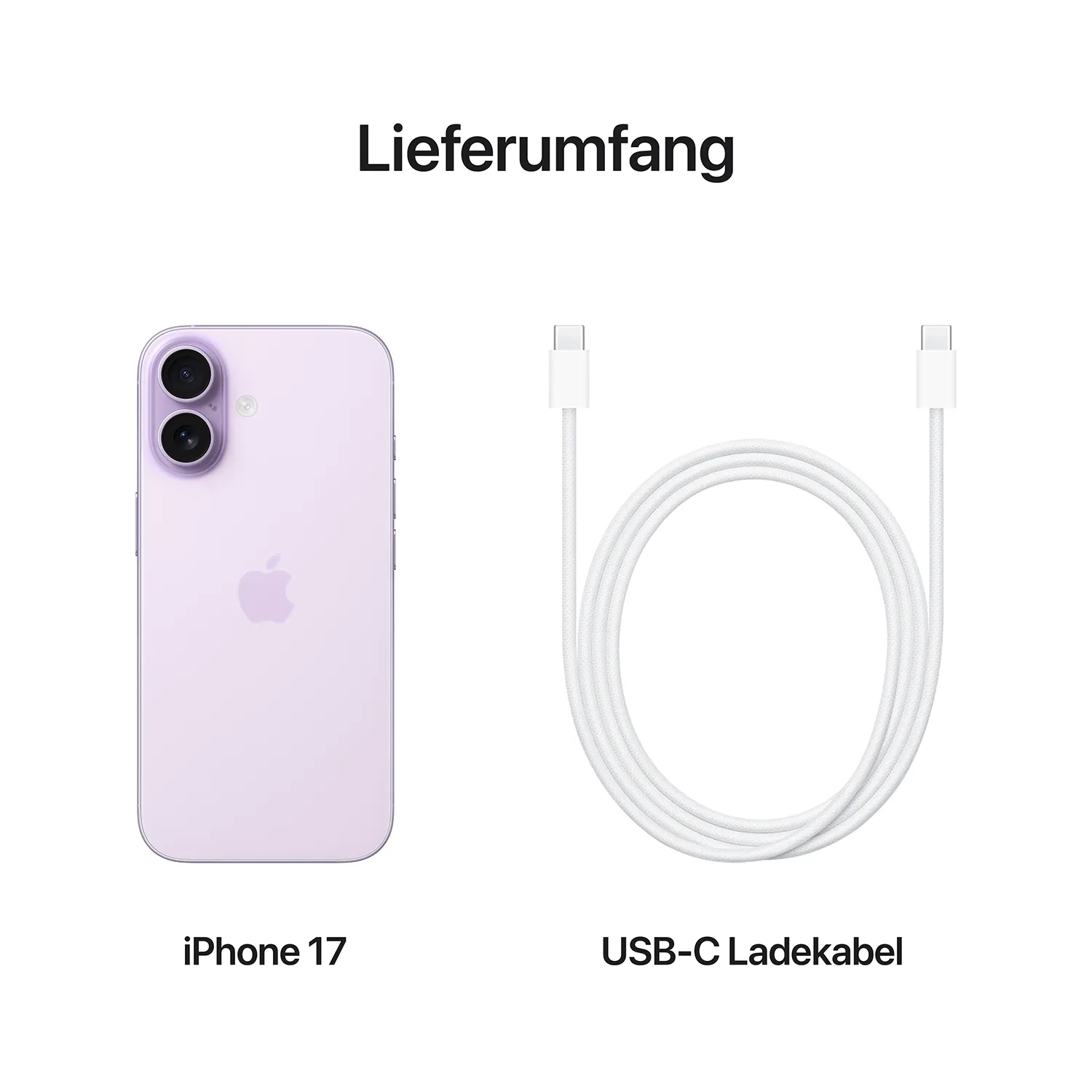 Lieferumfang